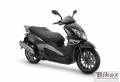 zenzero_350.jpg