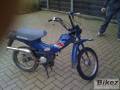 px50.jpg