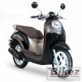 scoopy.jpg