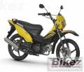 xrm_125_motard.jpg