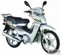 cub_partner_110.jpg