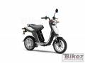 ec03.jpg