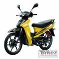 magic_110rr.jpg